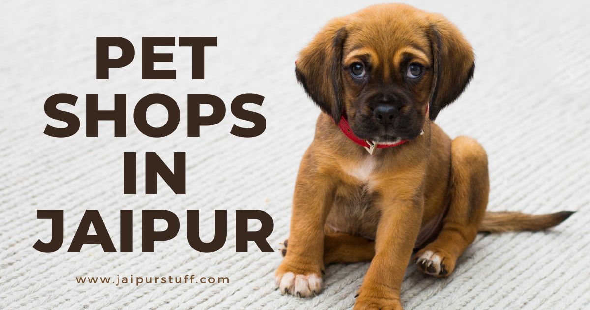 Pet Shops Jaipur, National Media