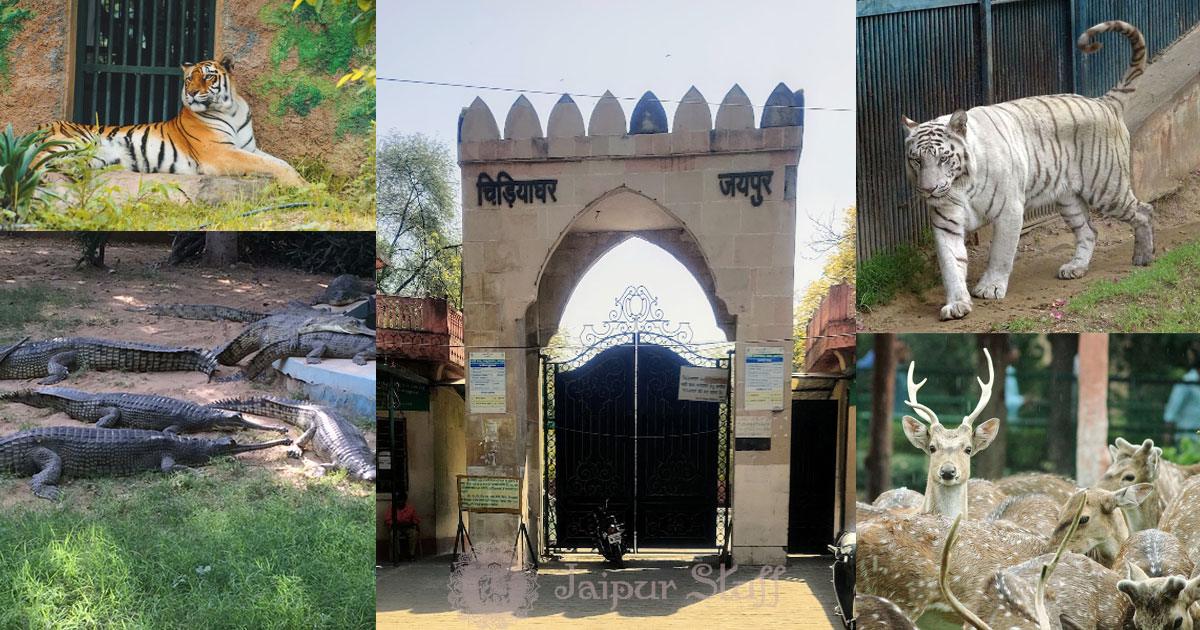 Jaipur Zoo, National Media