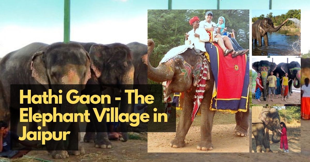 Hathi Gaon The Elephant Village In Jaipur, National Media