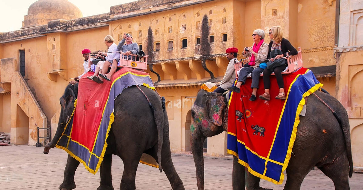 Elephant Safari In Jaipur, National Media